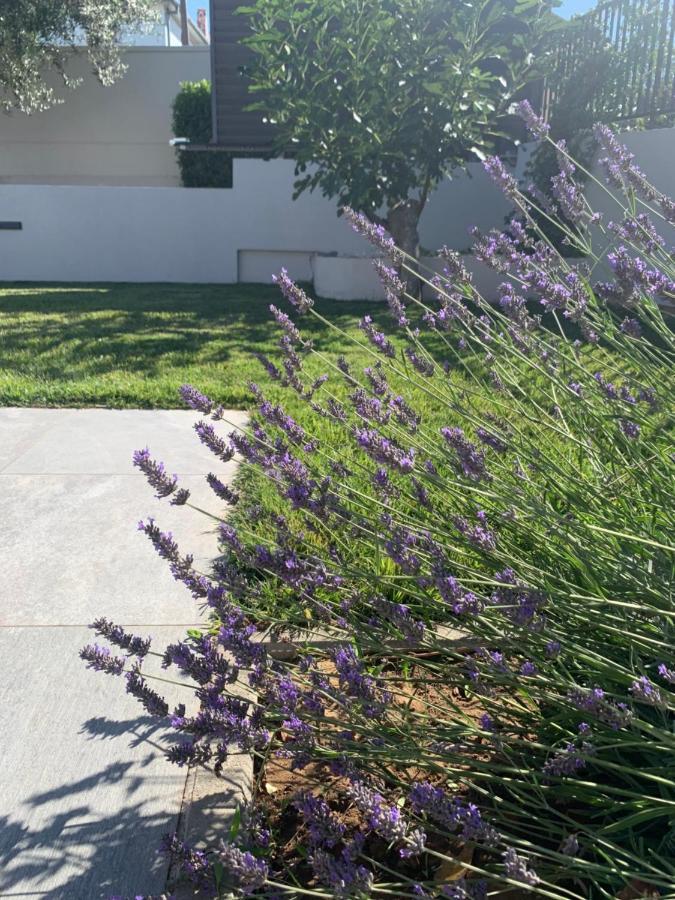 ザダル Tony'S House With Private Pool, Garden And Parkingヴィラ エクステリア 写真
