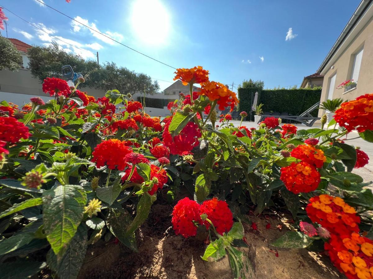 ザダル Tony'S House With Private Pool, Garden And Parkingヴィラ エクステリア 写真